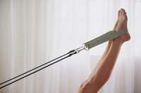 Reformer Straps - Dusty Jade Double PIYO